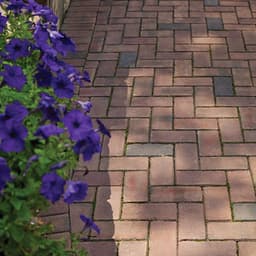 Rembrandt Pavers