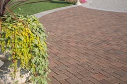 Rembrandt Pavers