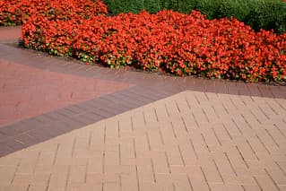 Claret Clear Pavers