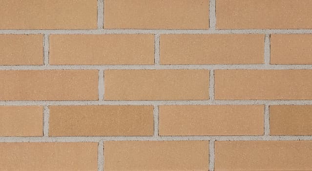 461-463 Smooth | Buff Bricks