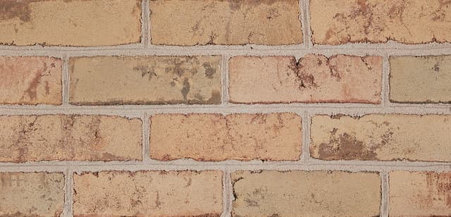 Beechwood Blend | Tan Bricks