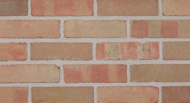 Belcrest 360 | Pink Bricks