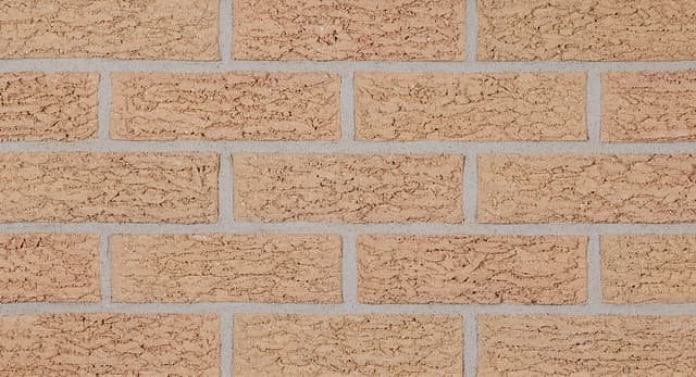 505 Bark | Buff Bricks