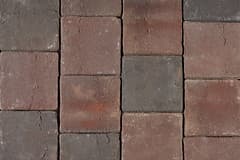 Rembrandt 8x8 Pavers