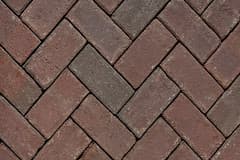 Rembrandt Pavers