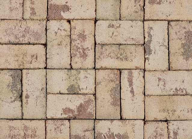 Beechwood Blend Pavers | Tan Bricks