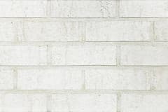 Alaska White Dart-Tex