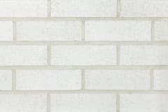 Alaska White Velour