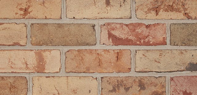 Bridgeport Blend | Tan Bricks