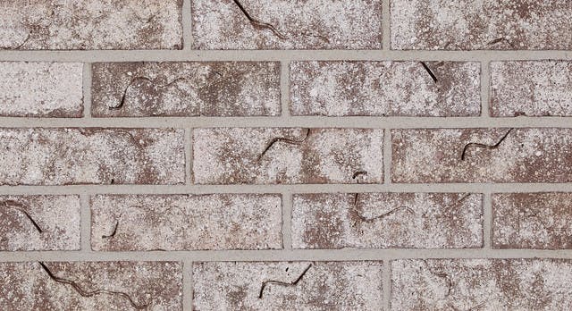 Nassau White Sanded Rustic | White Bricks
